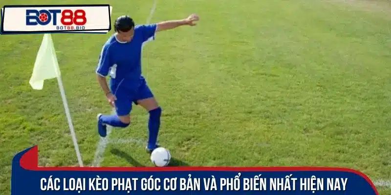 Có nhiều loại kèo phạt góc để bạn tham khảo lựa chọn
