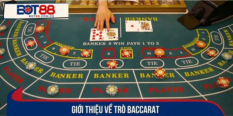 Baccarat – trò chơi bài hấp dẫn khiến ai cũng muốn thử