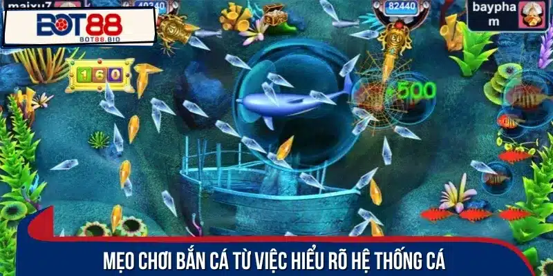 Nắm rõ từng loại cá và quy luật giúp bạn xây dựng chiến lược hay