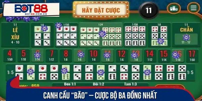 Kinh nghiệm để đặt cược cầu bão